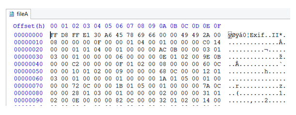 Hexadecimal Editor Screenshot