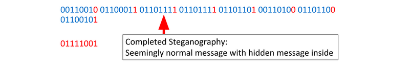 Steganography Process Step 12